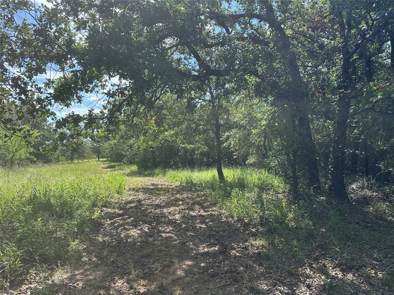 Wooded property featuring mature trees and a natural path Wooded property featuring mature trees and a natural path