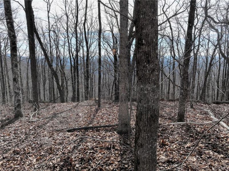 Image 35 of a home in .