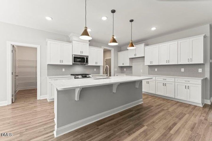 REPRESNTATIONAL PHOTO5