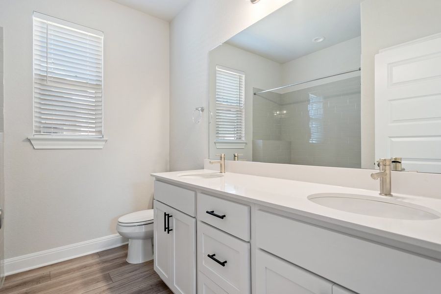 024_mm_03879 024_mm_03879