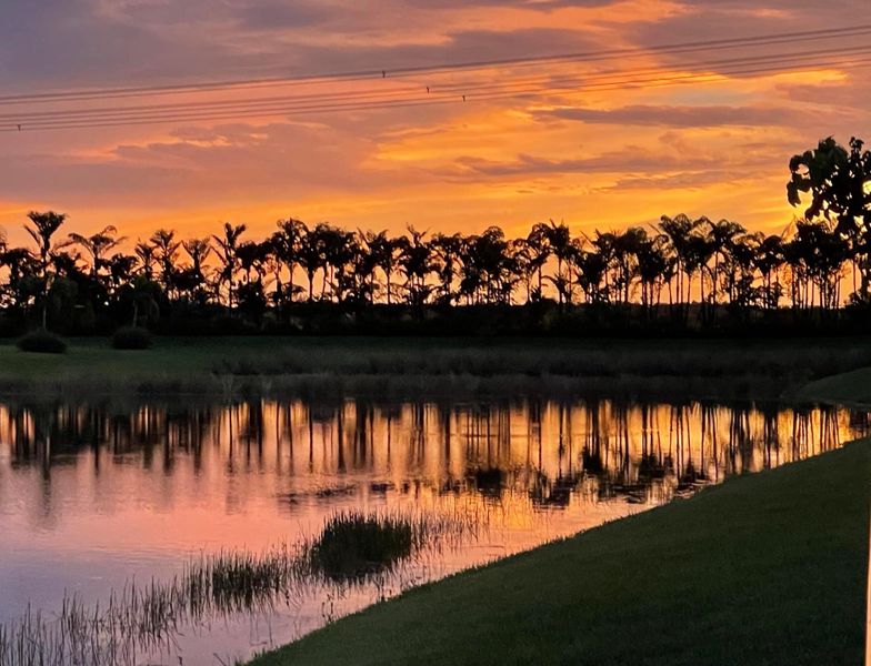 Backyard sunset