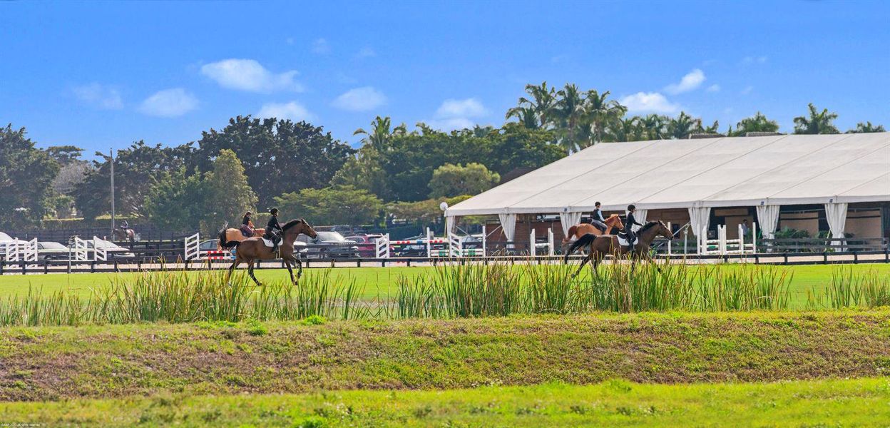 Wellington Equestrian WEF e AAP 2023