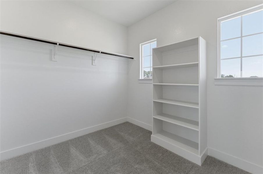 Carpeted room featuring a built-in shelving unit, two windows, and a clothing rod with support brackets