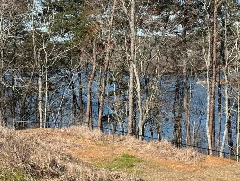 Natural landscape and outdoor views near The Bluffs in Canton (Image 6).