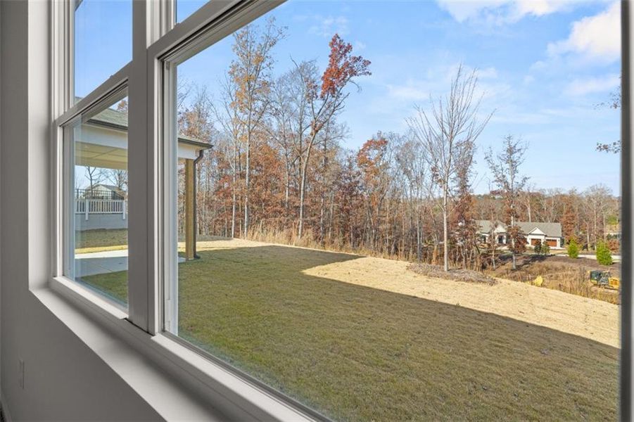 Exterior details and patio area of a home in Falcon Landing, Gainesville (Image 29).