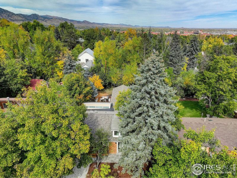 Janis Developments proudly presents their latest gut rehab / fully renovated ranch home in one of Boulder's most iconic neighborhoods.