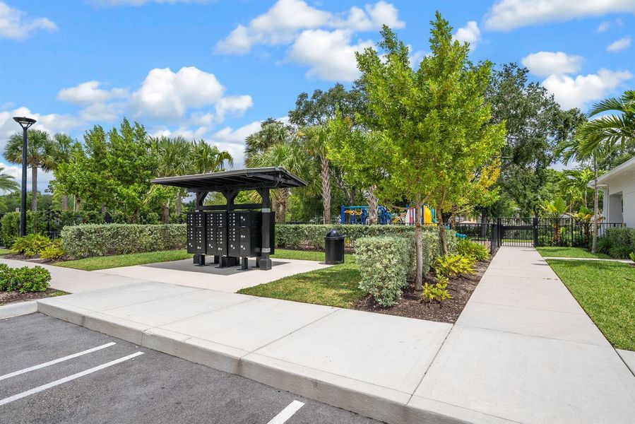 98-web-or-mls-PET06195 98-web-or-mls-PET06195