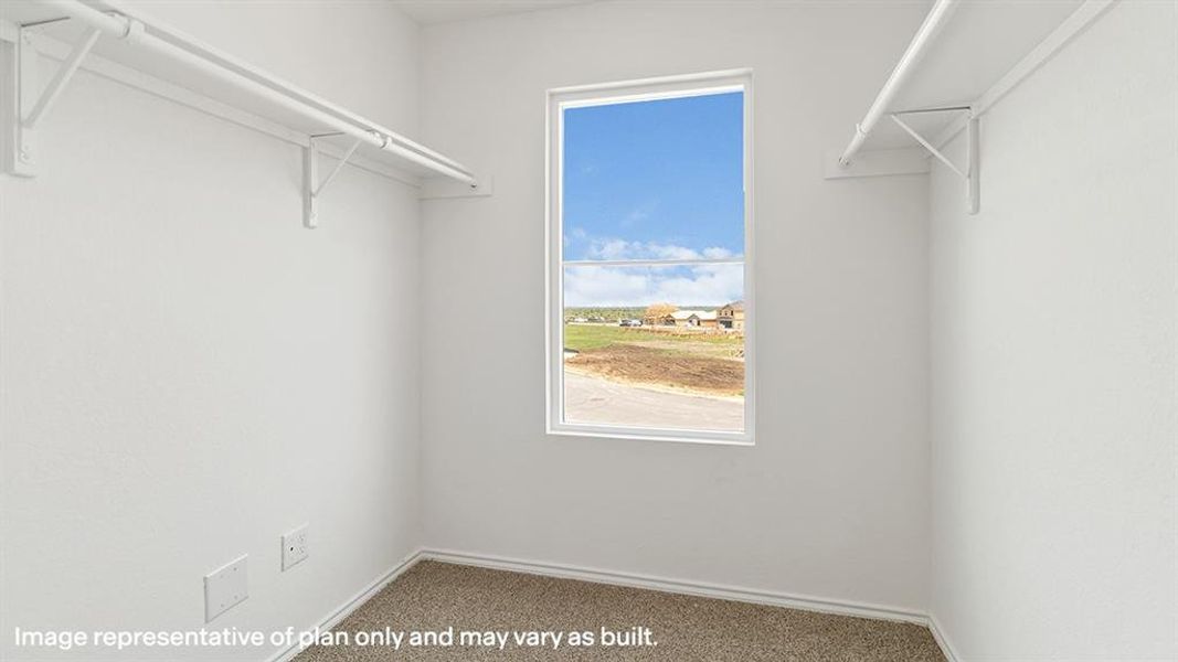 Walk in closet featuring carpet