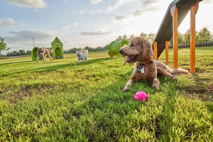 Image 12 of a home in Elyson. Image 12 of a home in Elyson.