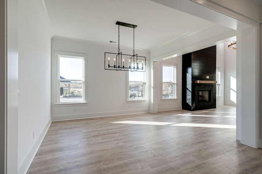 4,190sf New Home in Thompson's Station, TN.  - Slide 10