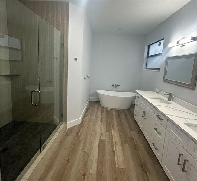 Furnished interior view inside a new home in , Tampa (Image 4).