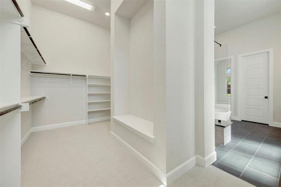 Walk in closet with carpet floors