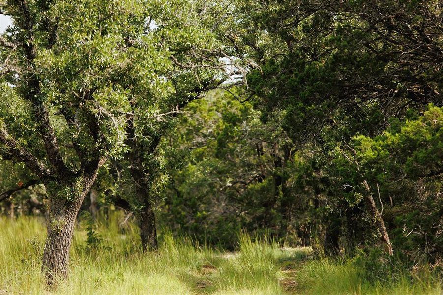 Natural landscape and outdoor views near  in Johnson City (Image 19).