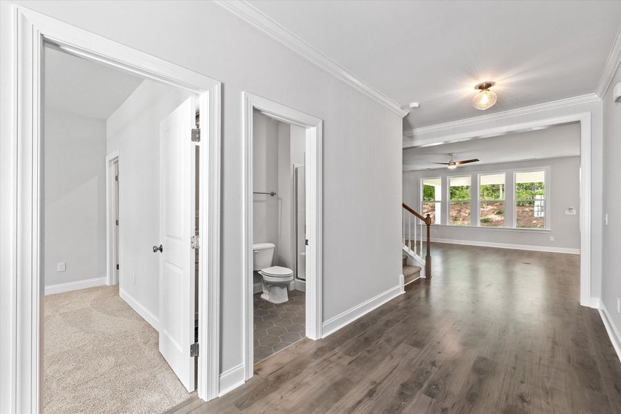 Representative unfurnished interior of a home built from the The Hampton by RobuckHomes in Kennebec Crossing, Angier (Image 116). Representative unfurnished interior of a home built from the The Hampton by RobuckHomes in Kennebec Crossing, Angier (Image 116).