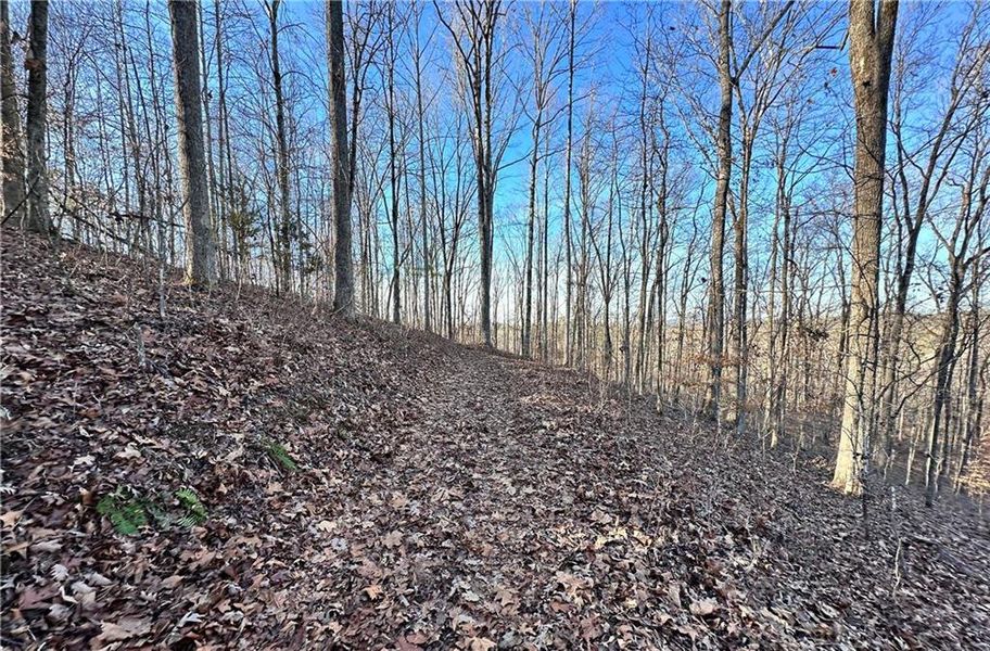 Natural landscape and outdoor views near  in Cumming (Image 12).