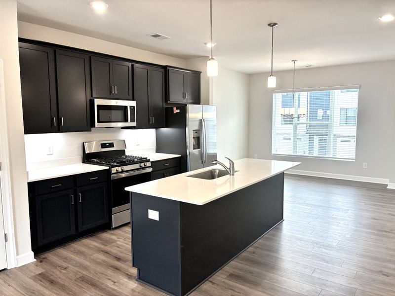 Furnished interior view inside a new home in Holly View, Greenville (Image 6).