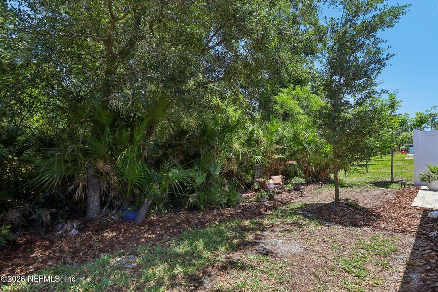 Natural landscape and outdoor views near Del Webb Nocatee in Ponte Vedra (Image 33).