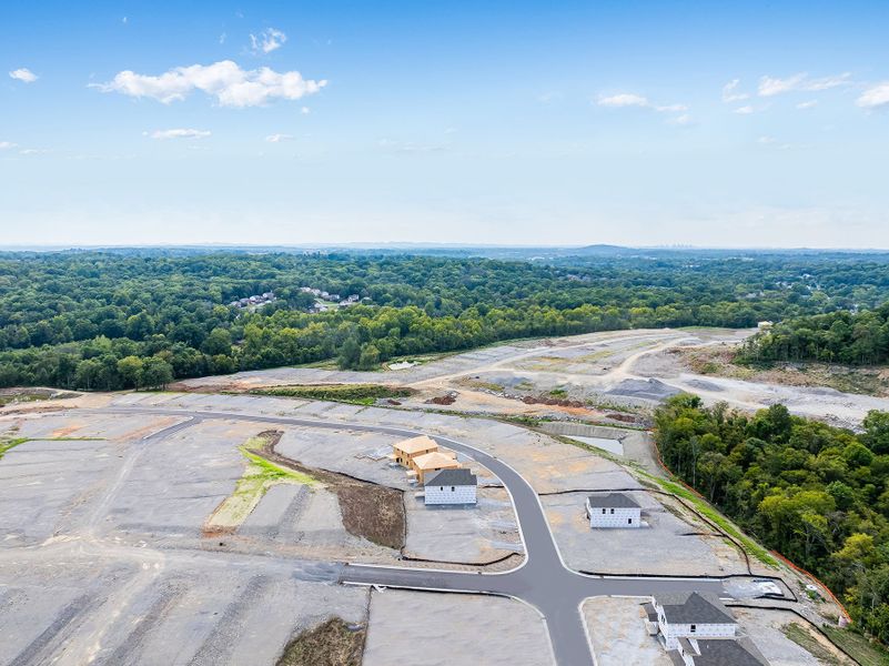 A road with trees and a body of water in the background. A road with trees and a body of water in the background.