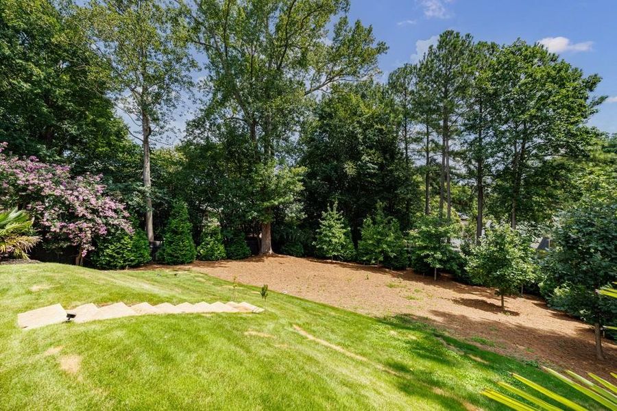 Natural landscape and outdoor views near  in Brookhaven (Image 60).
