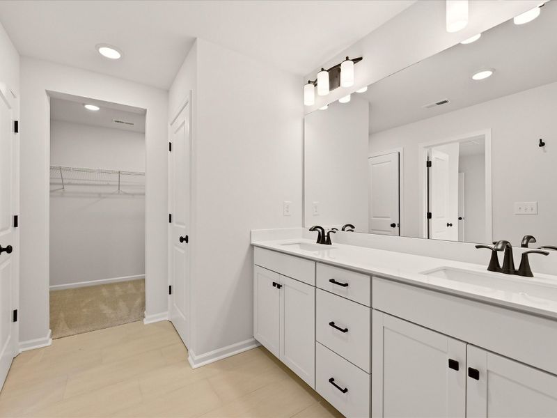 Owner's Bath
