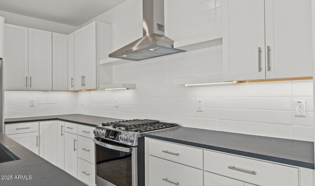 MLP Lot #54 Kitchen 3 (Large) MLP Lot #54 Kitchen 3 (Large)