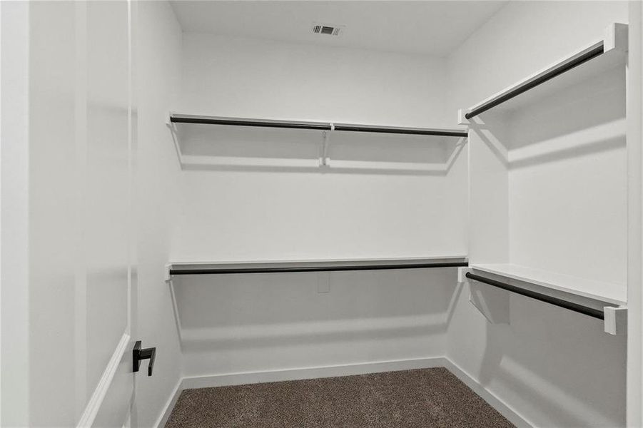 Walk in closet featuring carpet flooring