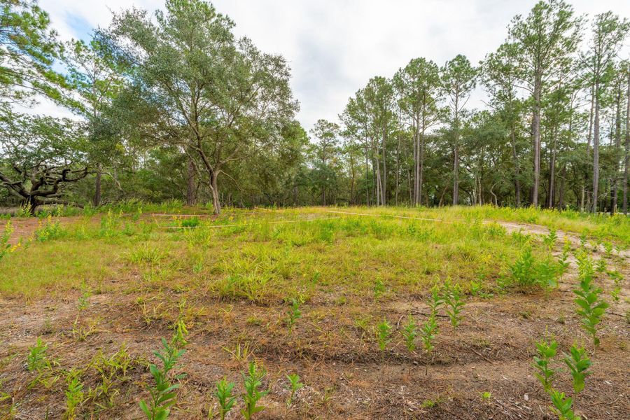 Natural landscape and outdoor views near  in Johns Island (Image 10).