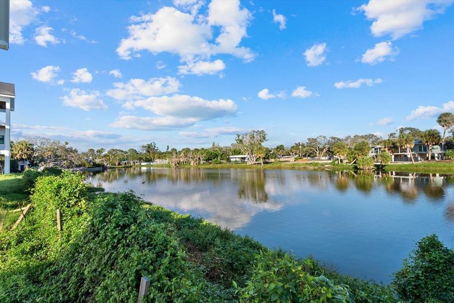 Natural landscape and outdoor views near  in Sarasota (Image 31).