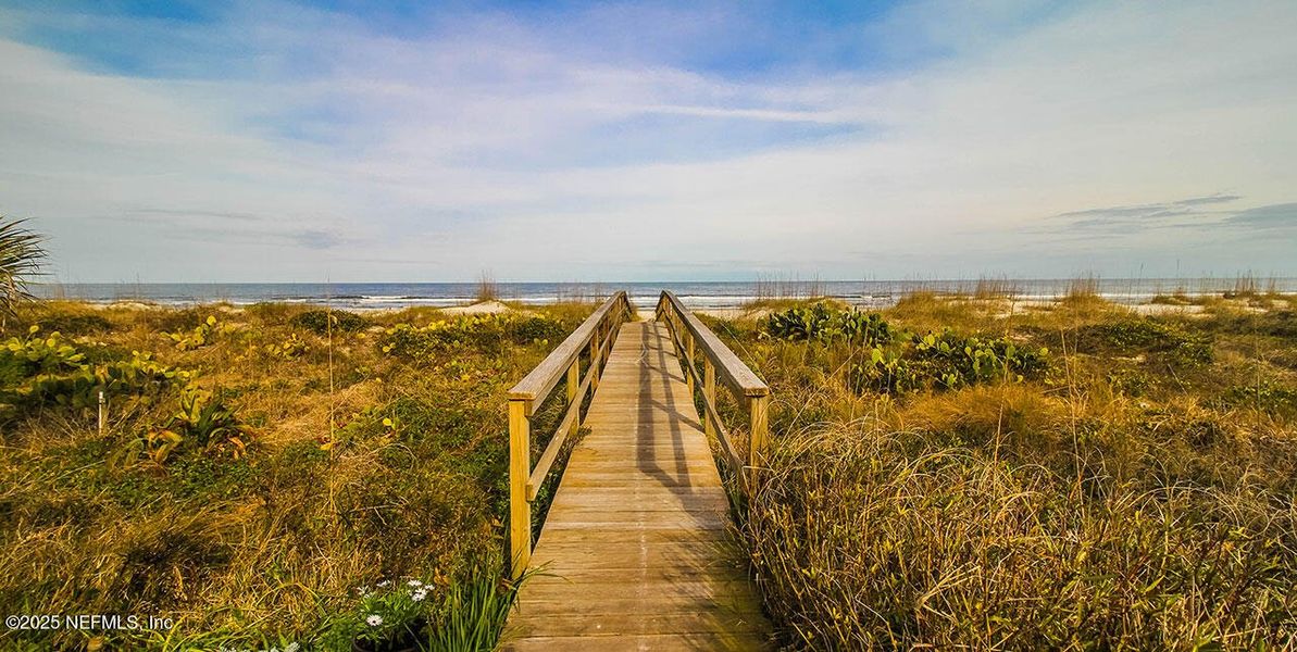 Natural landscape and outdoor views near  in Ponte Vedra Beach (Image 45).