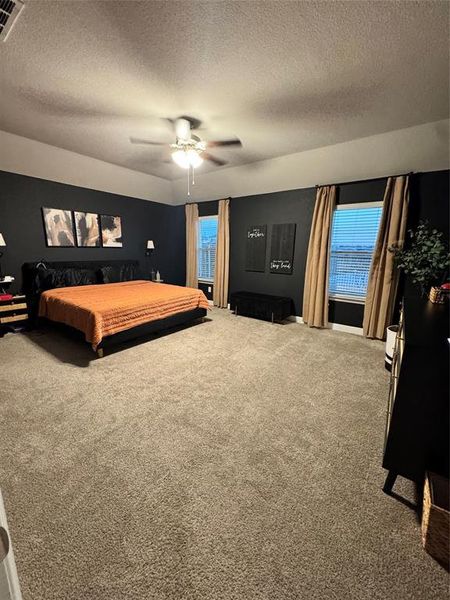 Spacious master bedroom featuring neutral carpeting, black walls, and a tray ceiling with a ceiling fan