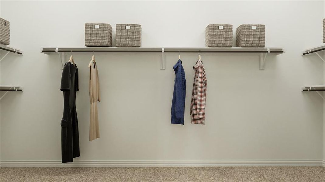 Spacious closet with carpet floors