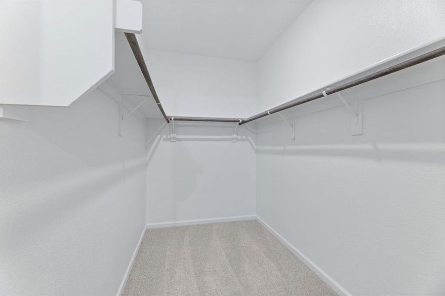 Respresentative (31)