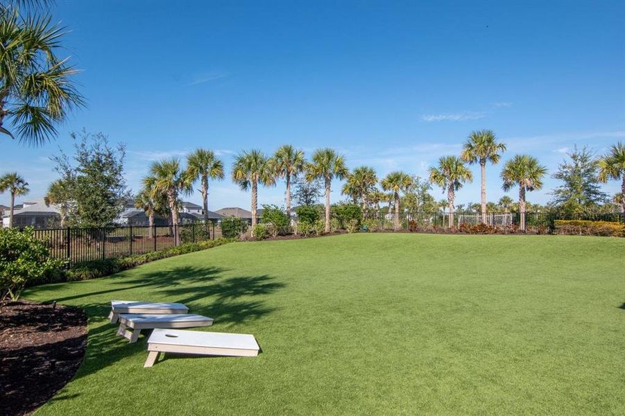 Natural landscape and outdoor views near River's Edge in Wesley Chapel (Image 67).