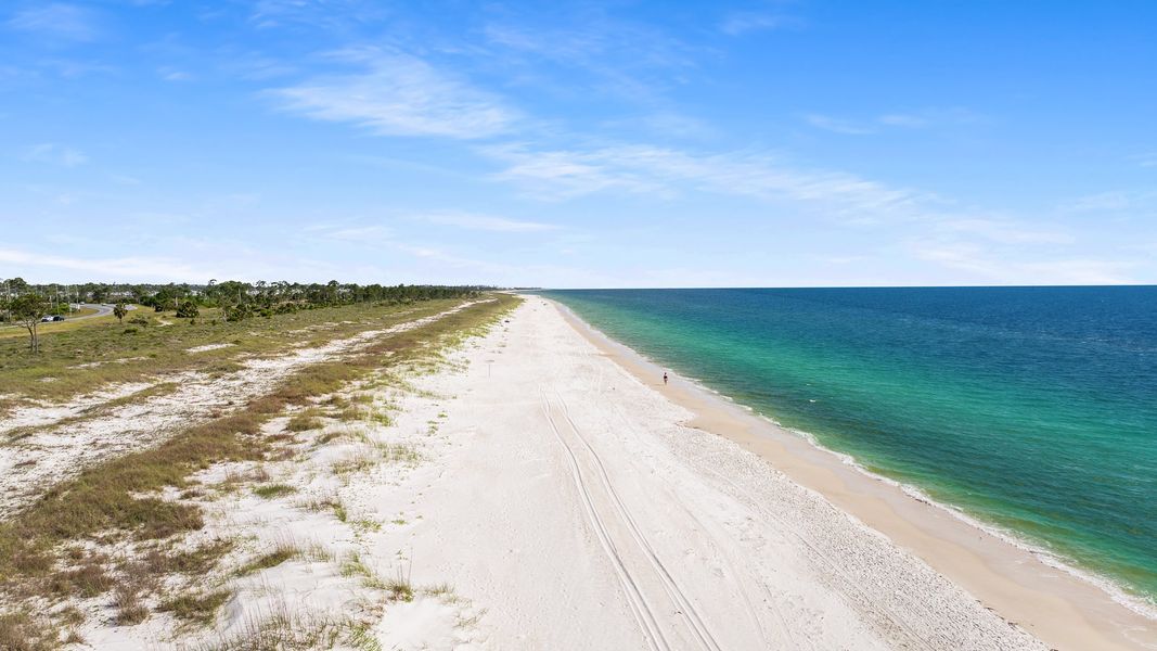 Natural landscape and outdoor views near WindMark Beach in Port Saint Joe (Image 32).