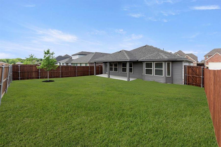 27. 3233 Timineri - Back (2)