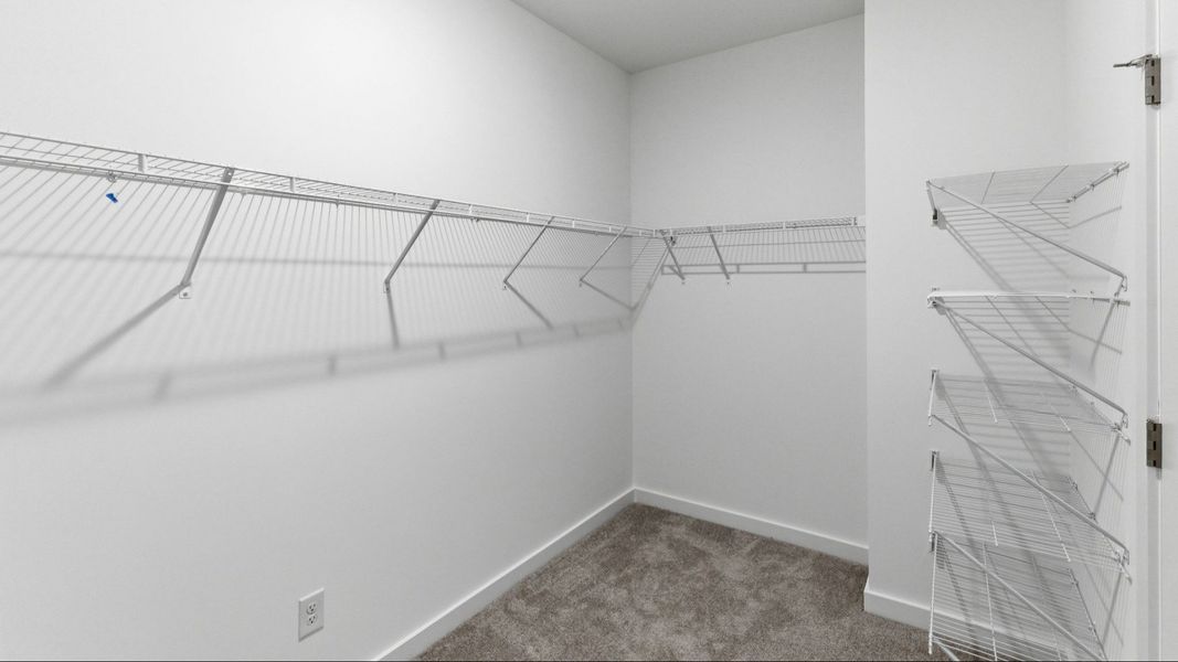 Closet with carpet and ventilated shelves Closet with carpet and ventilated shelves