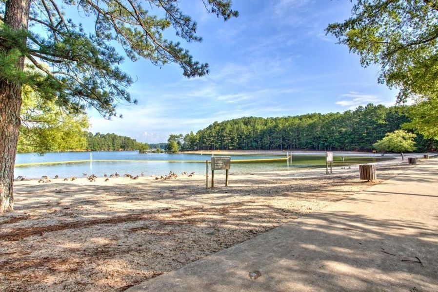 Natural landscape and outdoor views near  in Buford (Image 42).