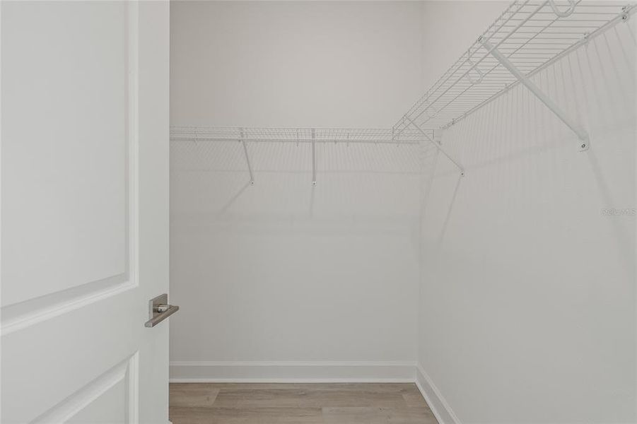 Spacious, unfurnished interior of a new home in Alante, St. Petersburg (Image 34).