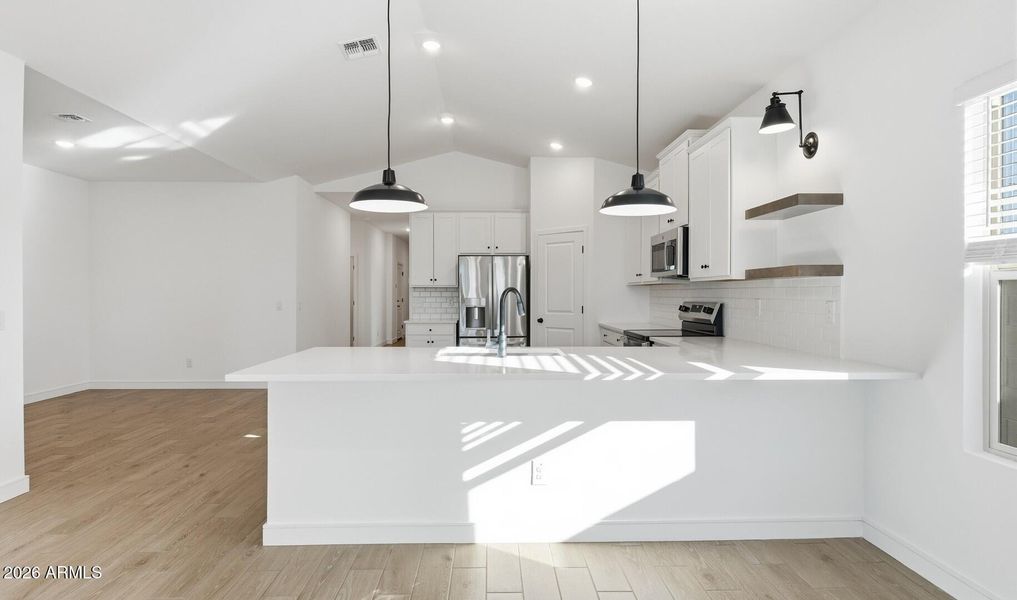 MR Lot #99 Kitchen (2) (Large)