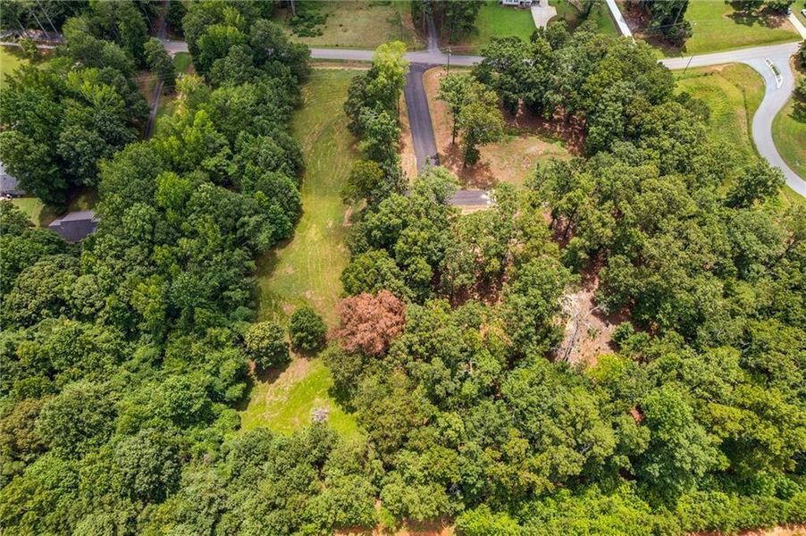 Natural landscape and outdoor views near  in Cumming (Image 6).