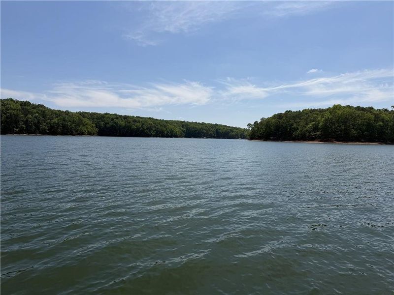 Natural landscape and outdoor views near  in Gainesville (Image 78).