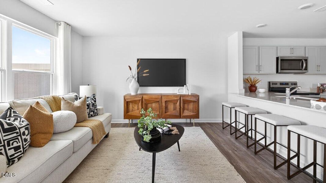 Living Room Living Room