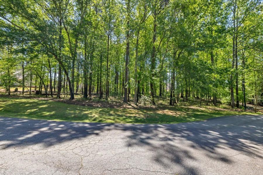 Natural landscape and outdoor views near  in Greensboro (Image 10).