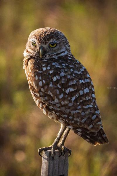 Image 77 of a home in . Image 77 of a home in .