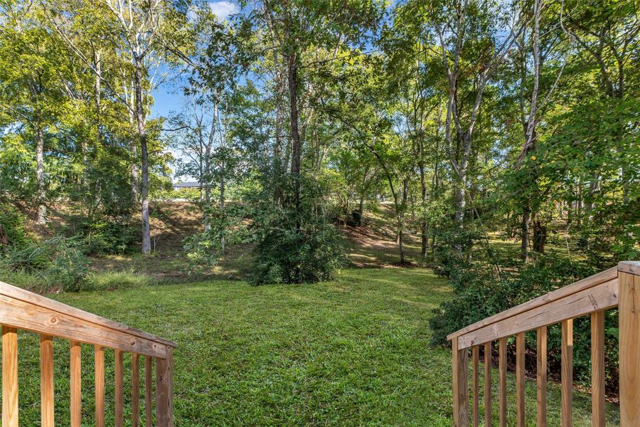 grass enhanced for photos