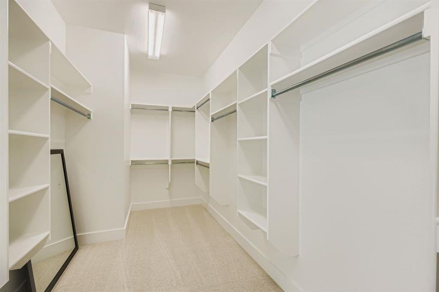 Spacious closet featuring light colored carpet