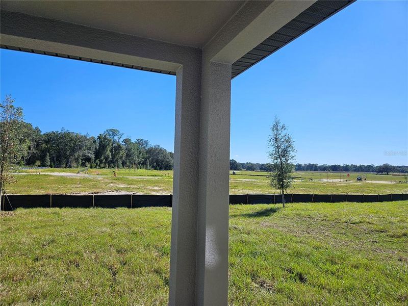 Exterior details and patio area of a home in The Reserve at Hammock Oaks - Classic Series, Lady Lake (Image 28).