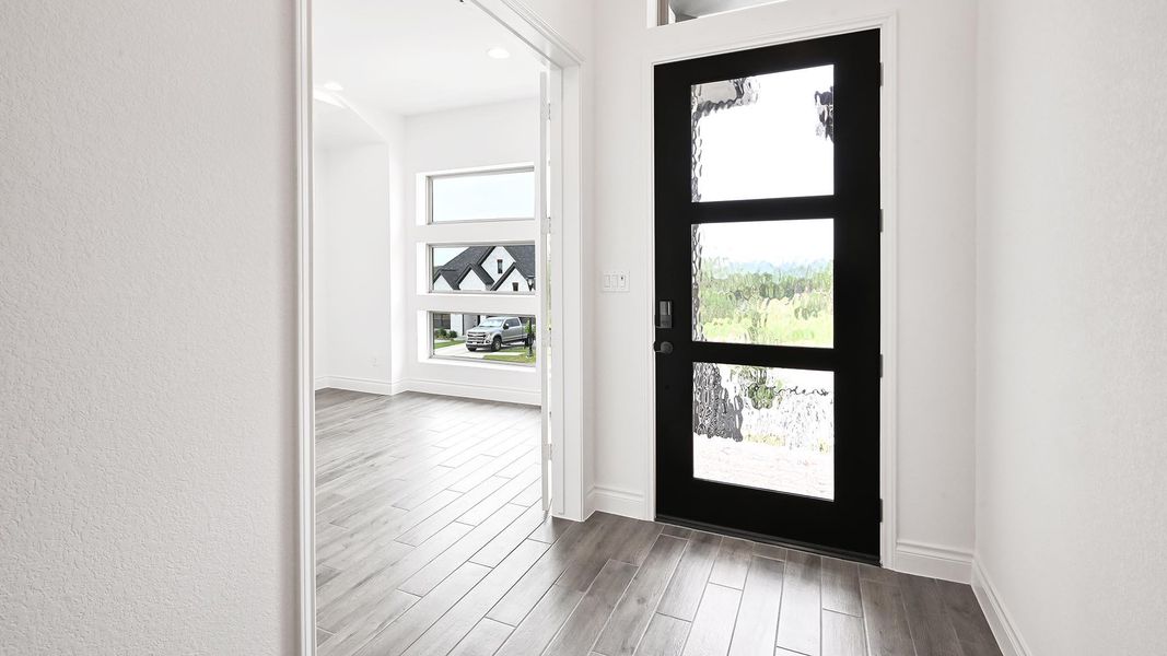 Entrance foyer featuring dark wood-style flooring, healthy amount of natural light, and baseboards