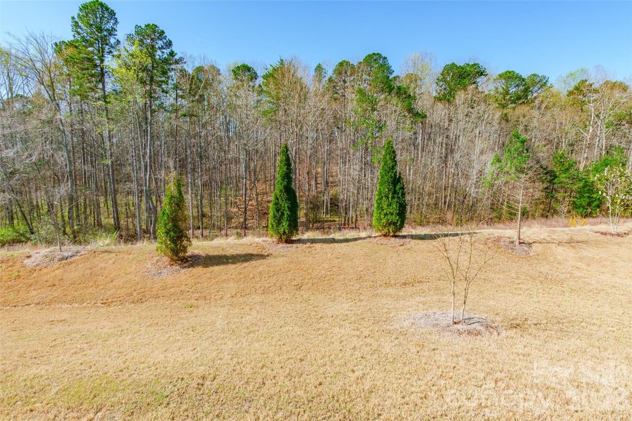 Natural landscape and outdoor views near Eckley in Mooresville (Image 37).