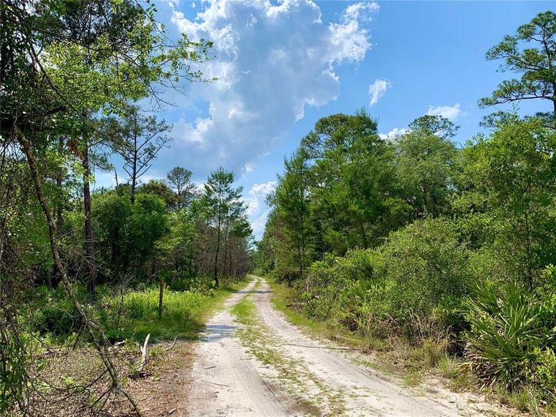 Natural landscape and outdoor views near  in Eustis (Image 45).
